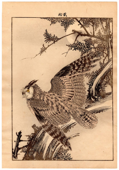 Imao Keinen CYPRESS AND EAGLE OWL