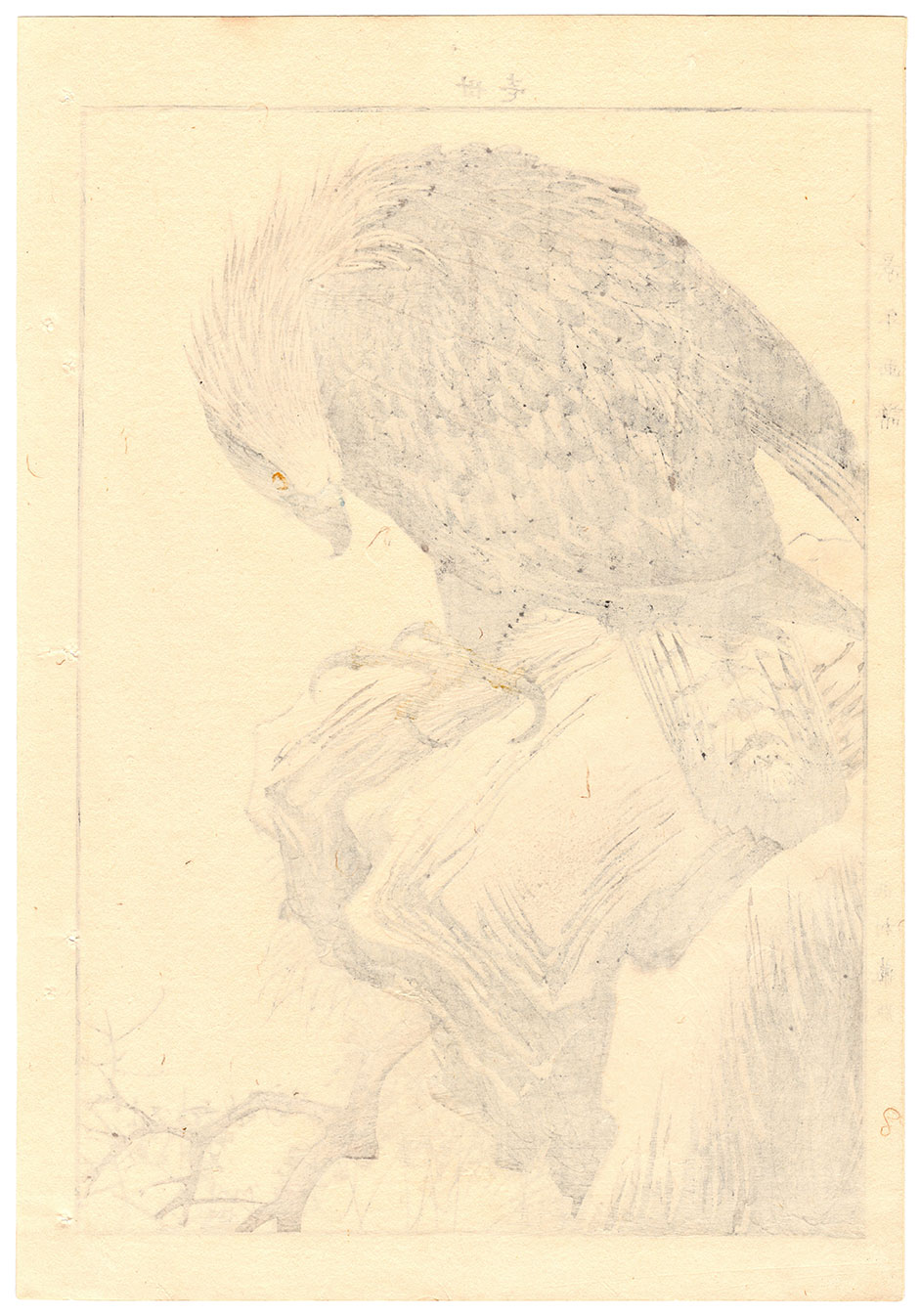 GOLDEN EAGLE (Imao Keinen) – 美和 Miwa Japanese Art
