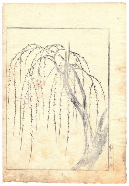 WILLOW TREE (Kitagawa Utamaro)