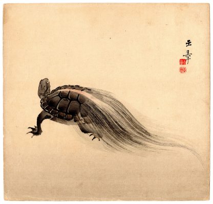 TURTLE OF LONGEVITY (Kawabata Gyokusho)